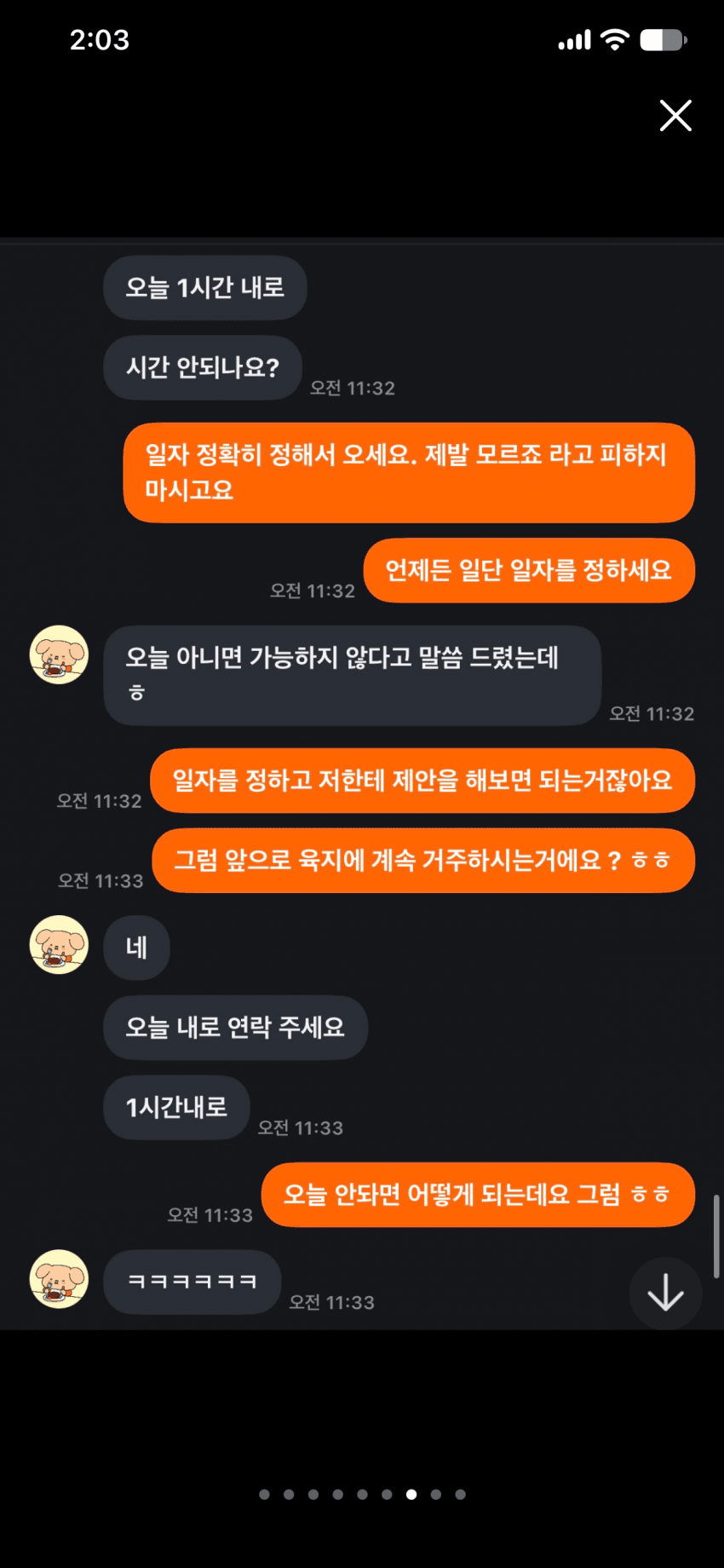 캣어머니한테 임보냥이 설계당한 당근 착한아줌마. (10)