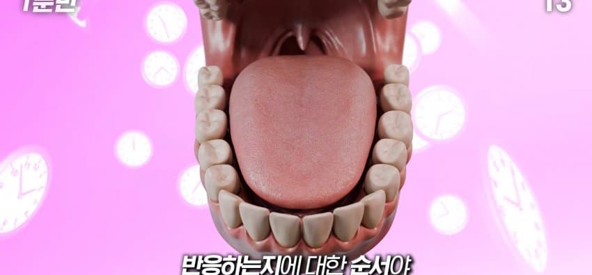 학교에서 배운 '혀 맛' 지도가 잘못됐다..? (32)