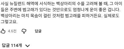 비명지르는 아이들에게 다가오는 야생범고래