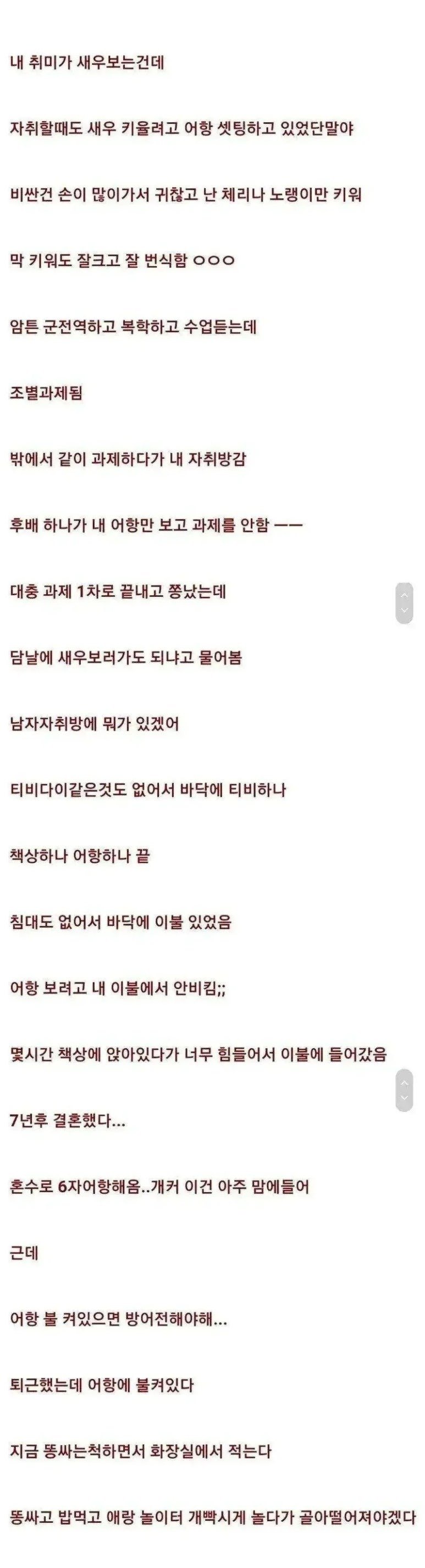 취미로 새우 키울때 절대 피해야 할 일.jpg