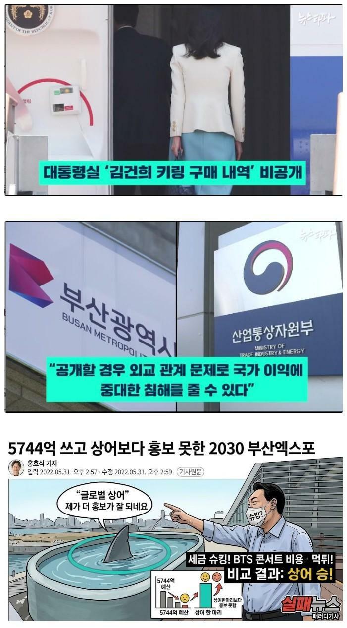 부산상어 출몰지역 세금낭비규모 (2)