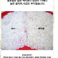 [남도장터]새청무.찹쌀.표고버섯.전복.민물장어.홍어.등갈비(다양/무료)