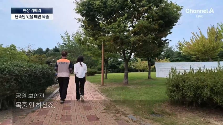 채널a) 단속원 퇴근하자...공원이 '개판' (13)