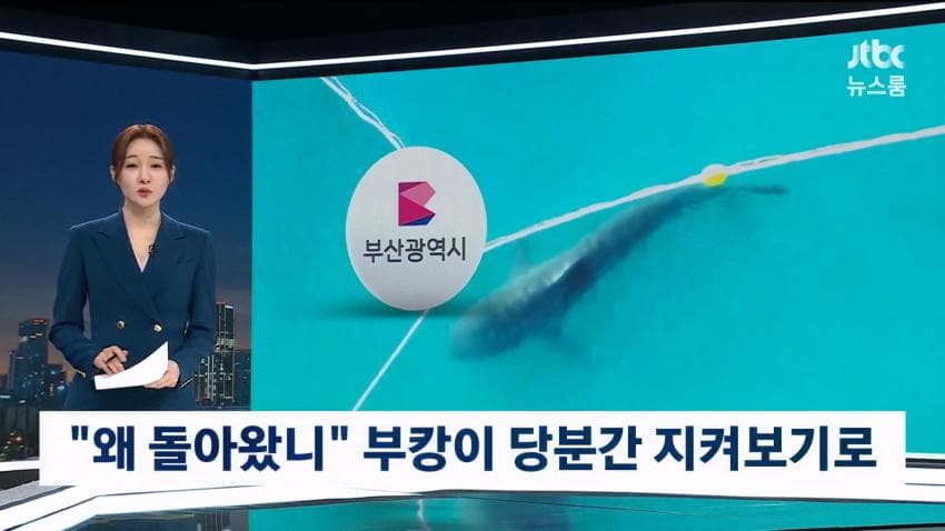 부캉이 보러... 결국 누적 100만명 돌파 (23)