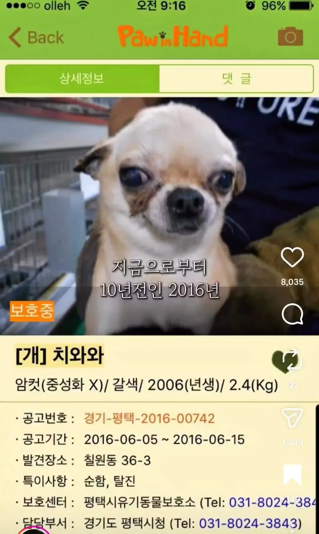 10년 전 유기견을 입양했던 사람에게 다시 연락해봤다