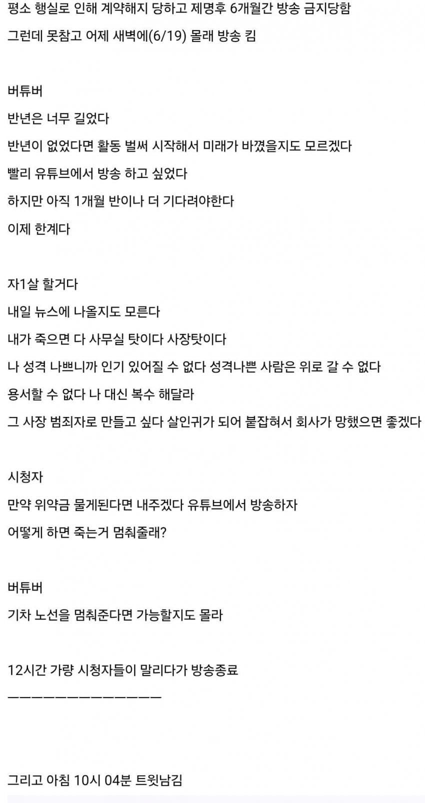 싱글벙글 본인 잘못으로 망하고 살자한 옆나라 버튜버 (2)