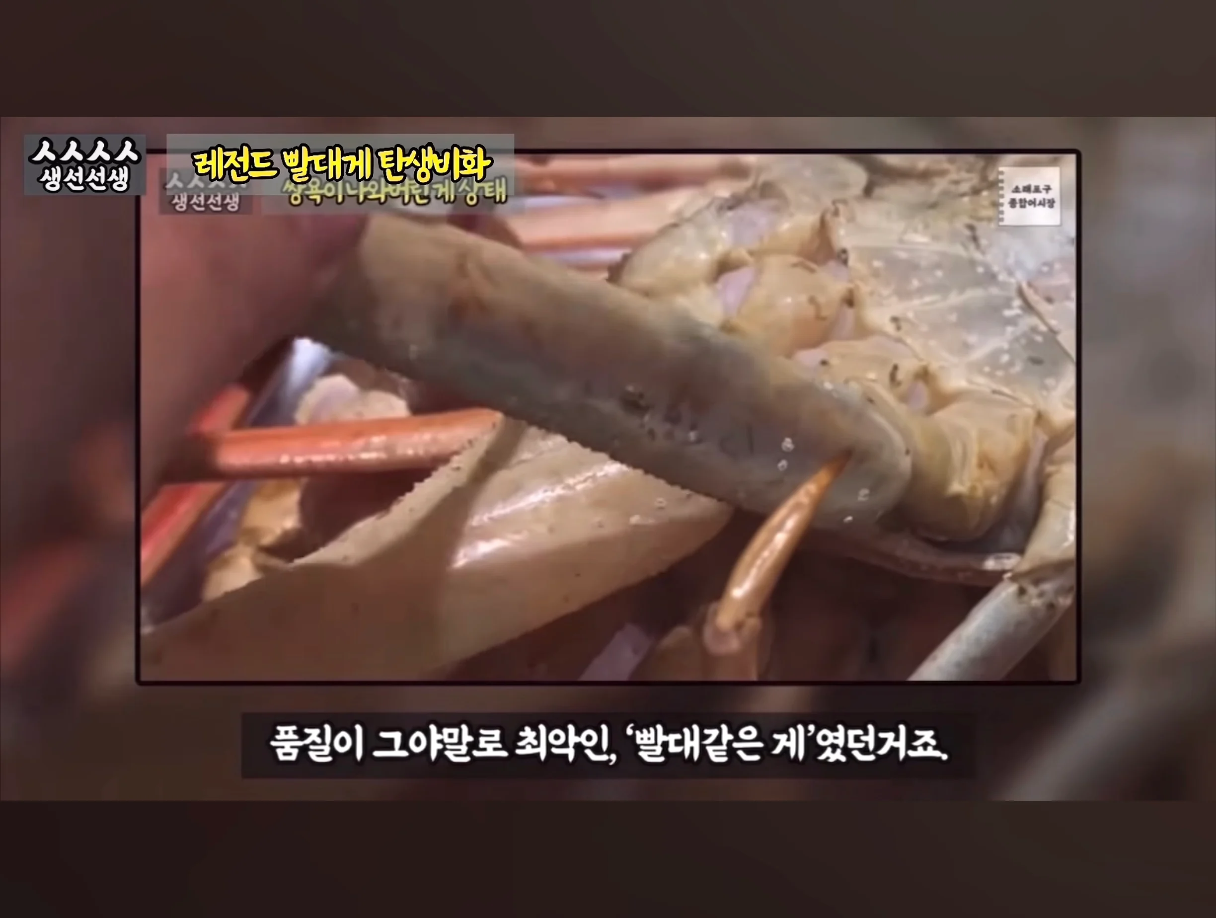 스압주의) 대게 구입 잘못했다가 미쳐버린 유튜버 (9)
