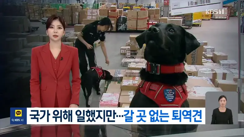 국가 위해 헌신한 퇴역견…은퇴 후 관리는 ‘나몰라라’
