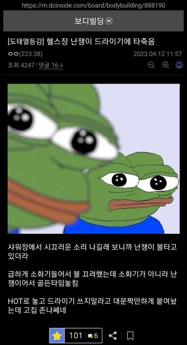 싱글벙글 보디빌딩갤 난쟁이 문학모음 (2)