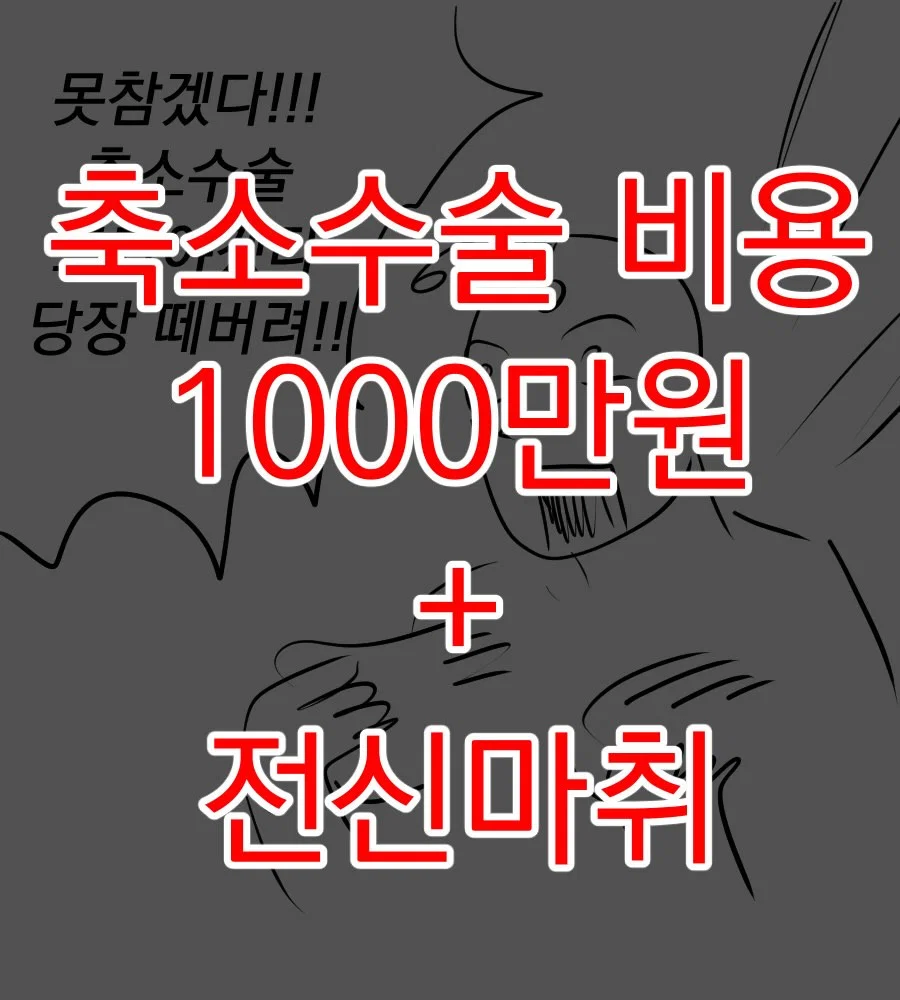 어느 웹툰 작가의 가슴 축소 수술 후기 만화 (10)