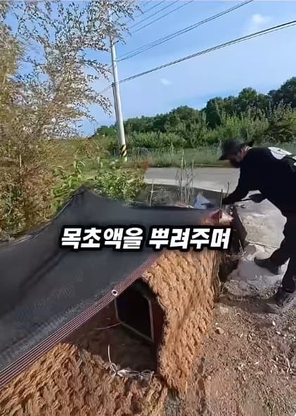 조회수1500만 견주 허락 없이 1개월 아기 강아지 그늘막 설치 사연, (34)