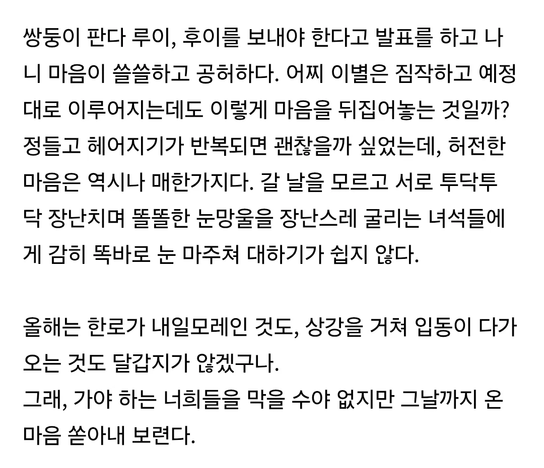 오늘자 남천바오 할부지(=강바오) 글 속 둥이들 언급🐼💜🩷