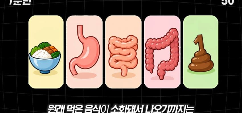먹자마자 바로 화장실 가는 사람은 뭘까? (4)