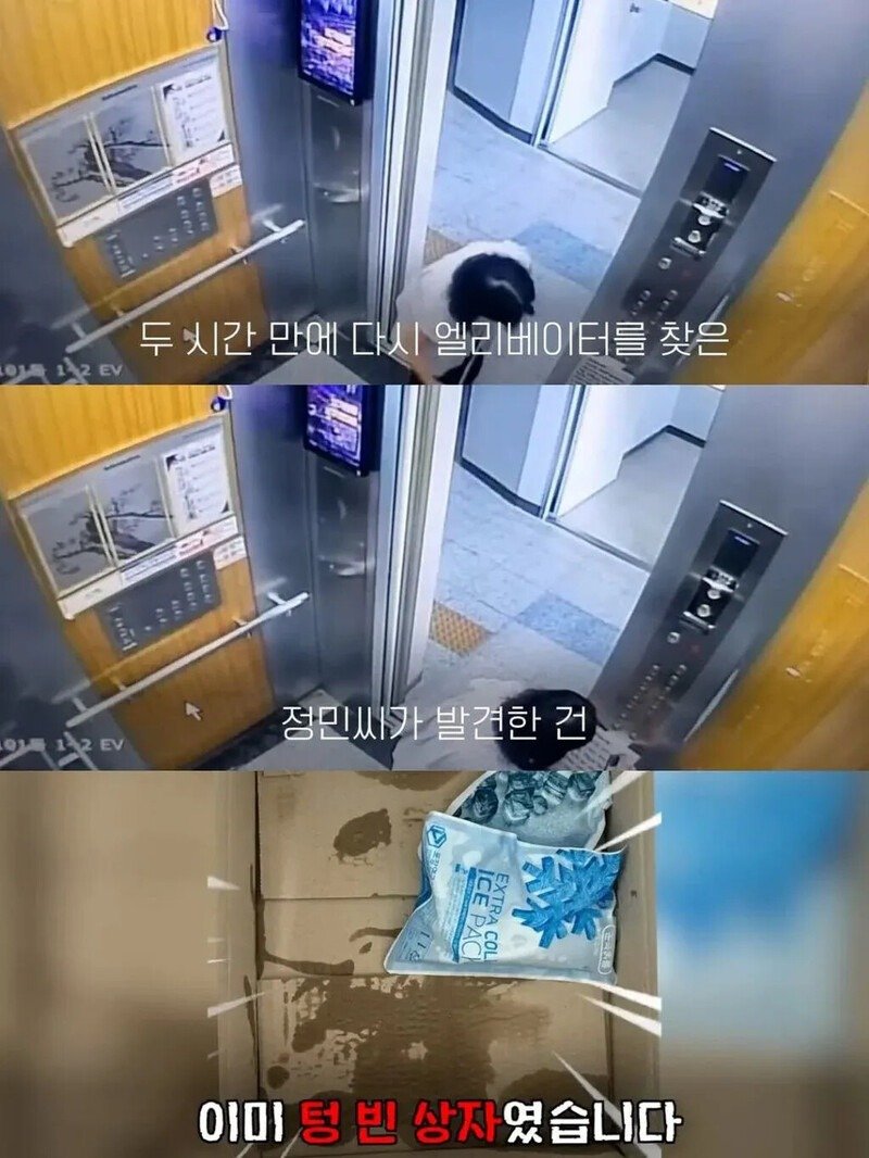 06.jpg