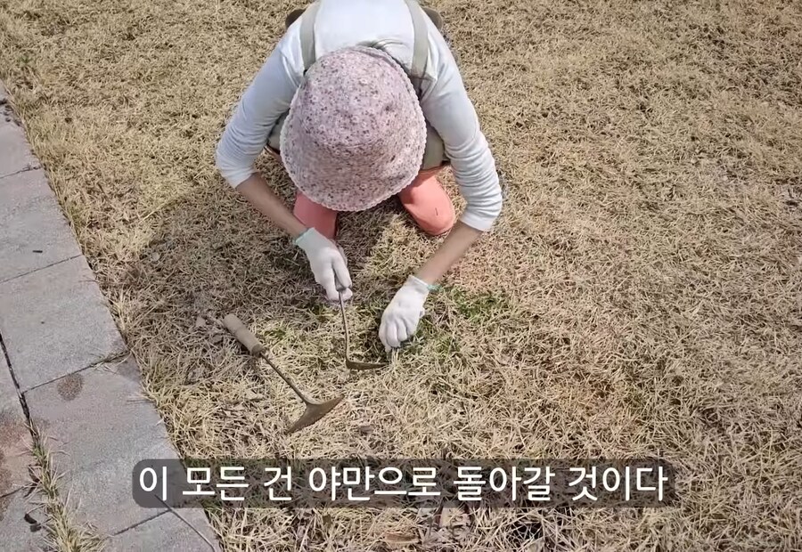 휴식을 위해 '귀촌'을 한 사람들이 깨닫게 되는 현실 (20)