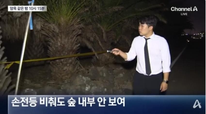 제주실종자가 발견 된 야자수 숲 가는 길을 밤에 직접 가본 기자.. (13)