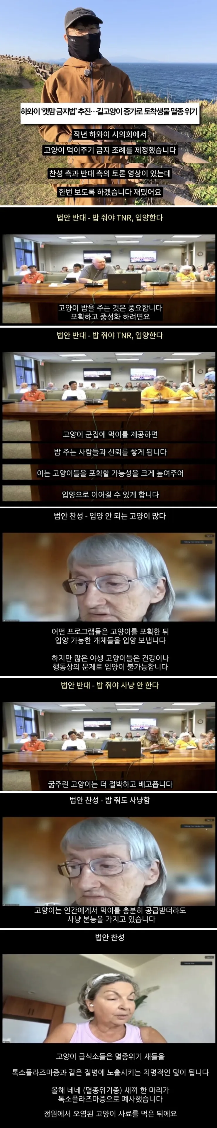 하와이 고양이 근황 feat. 의회