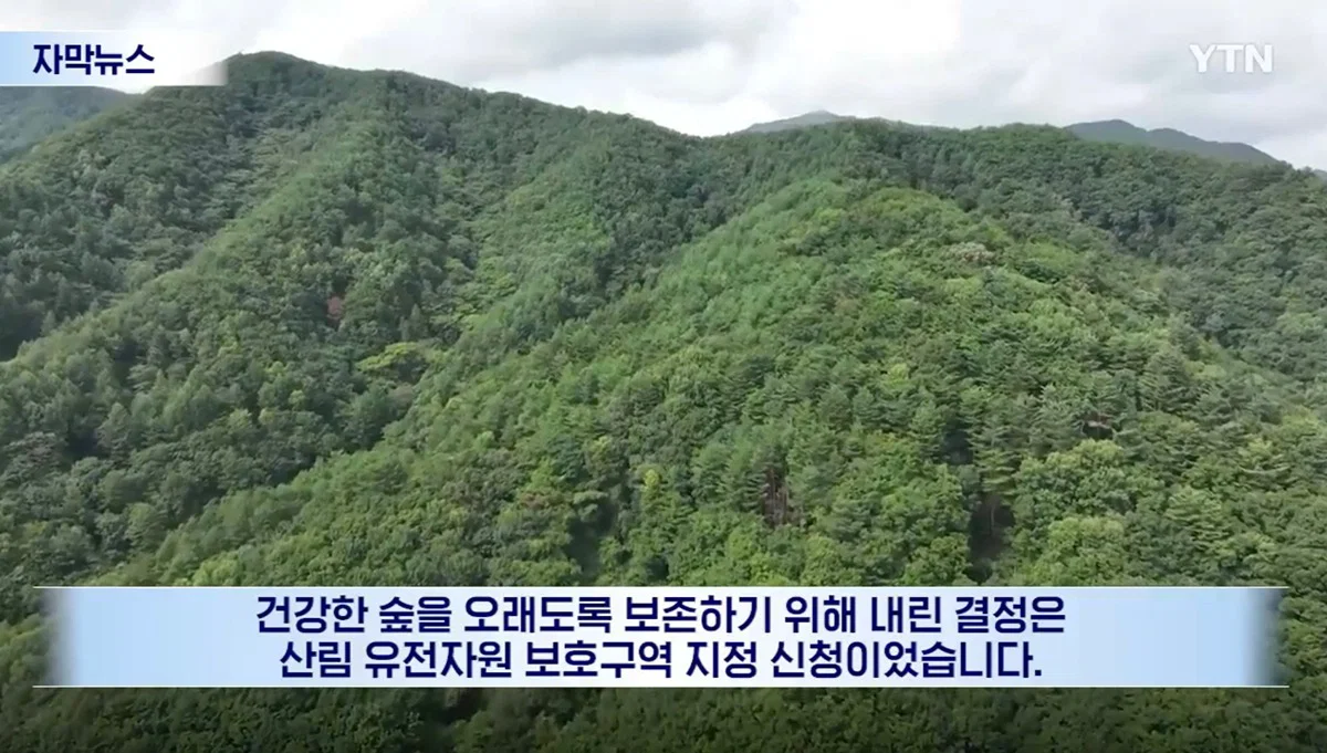 수십억 들여 숲 사놓고 아무것도 안한 이유 (12)
