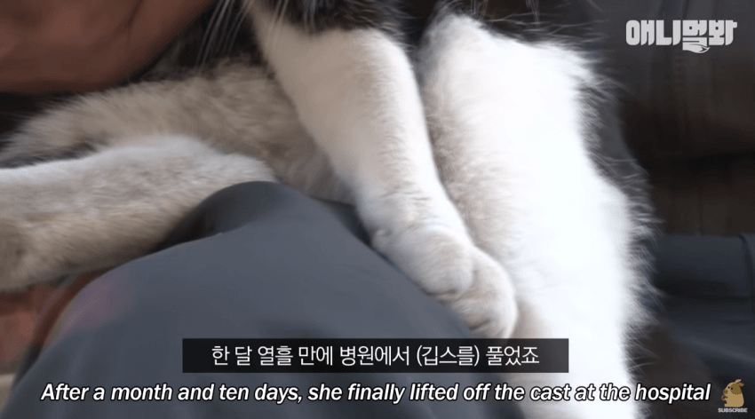 싱글벙글 자신을 치료해준 아재를 불길속에서 구한 털바퀴 (14)