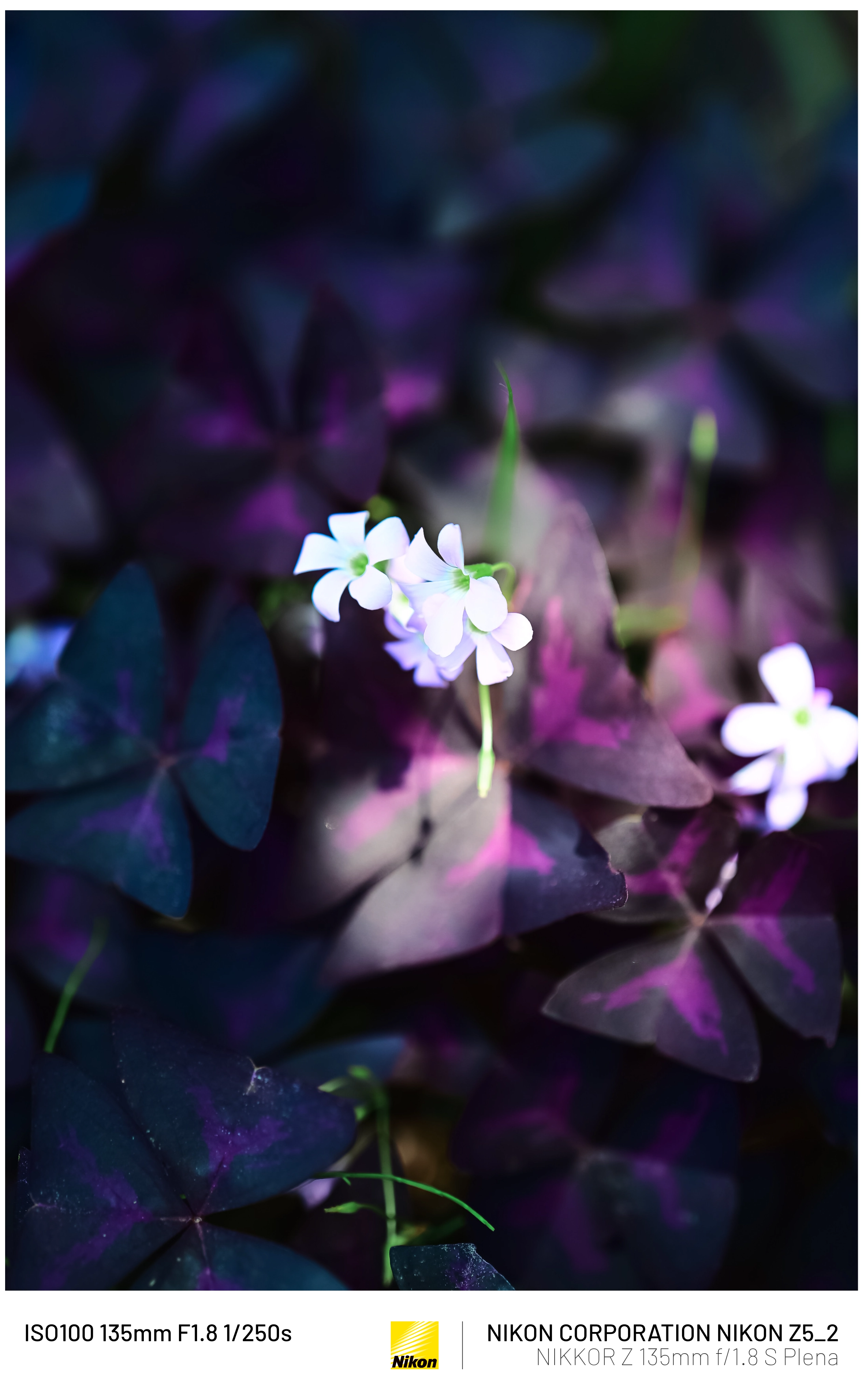 3분기 결산 (50장) (3)