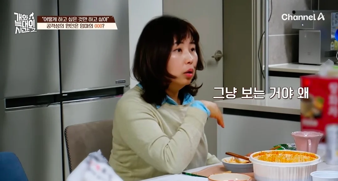 개늑시에 나오는 문제견 견주 특징 (13)