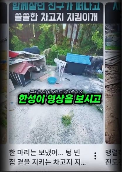 평생 목욕 한번 안 해본 차고지 지킴이 2살 한성이의 생애 첫 목욕대작전 (2)