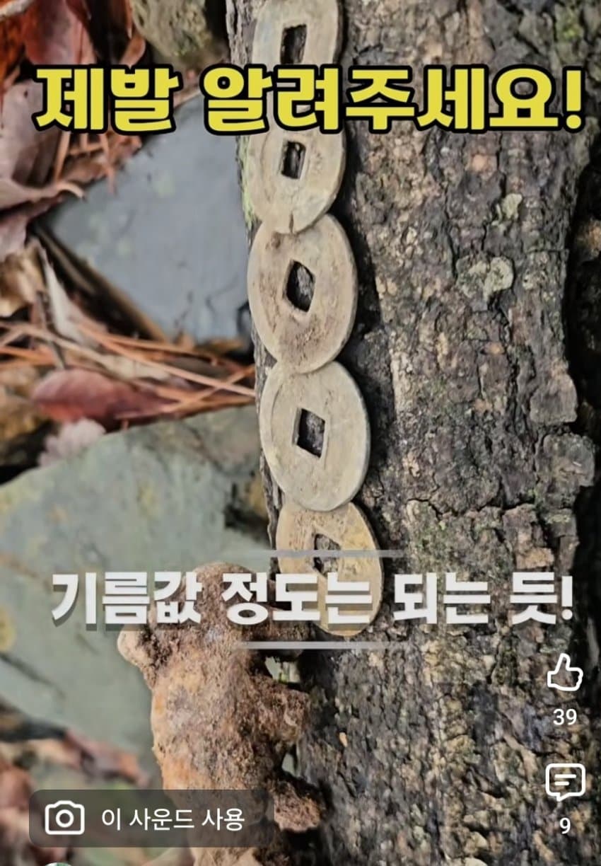 싱글벙글 금속탐지기 유튜버가 5년간 찾은거 (4)