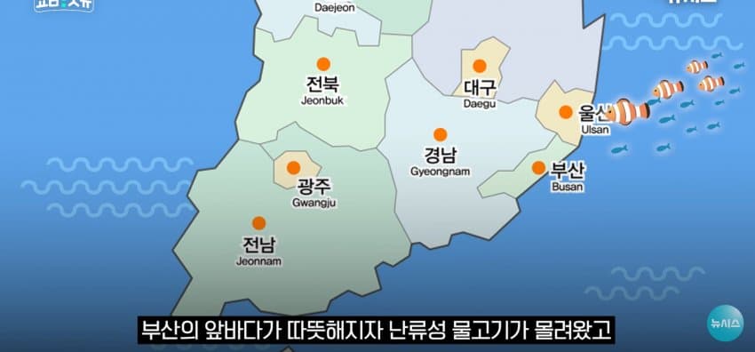 상어 한마리에 3만명 몰려, 부산 명소가 된 북항 (33)