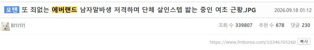 '여자 혼자 놀이기구 탔더니 생긴 일' 피해자 2차가해중인 남초 (8)