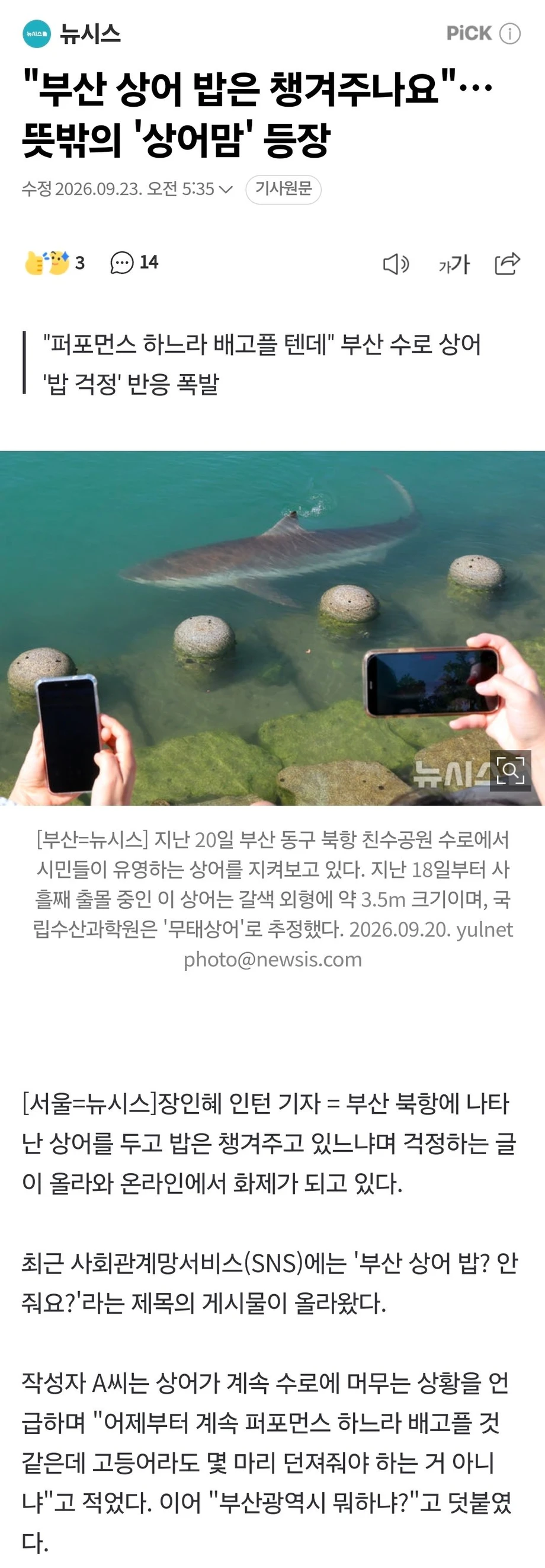 부산에 나타난 정신병자들