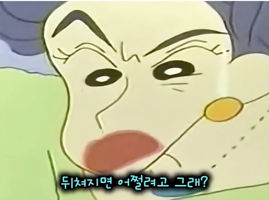 짱구 시리즈 오래되면서 생긴 최대 수혜자 (4)