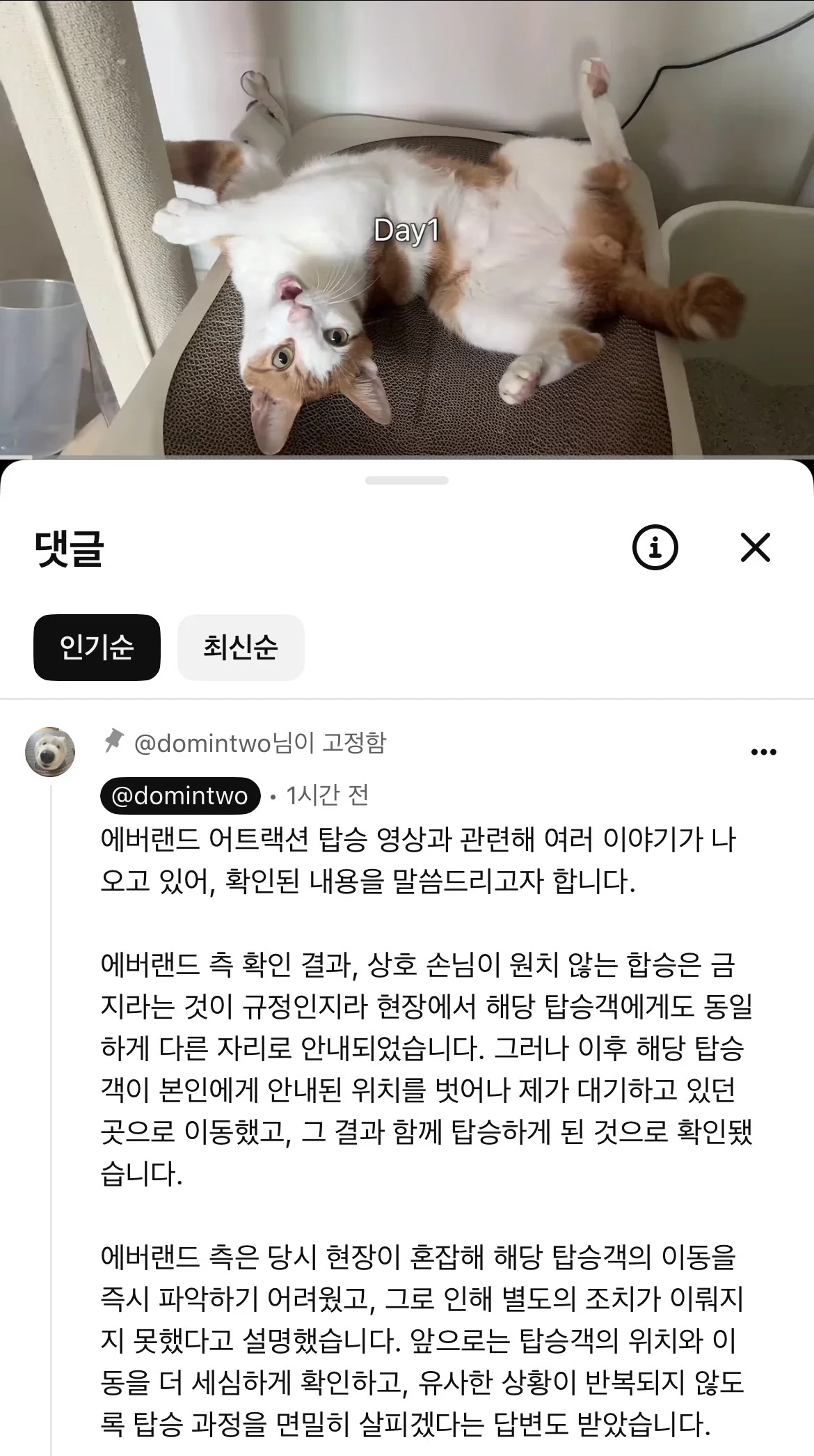 티익스프레스 혼자타다가 한남한테 피해입은 유튜버 에버랜드에서 답변받음