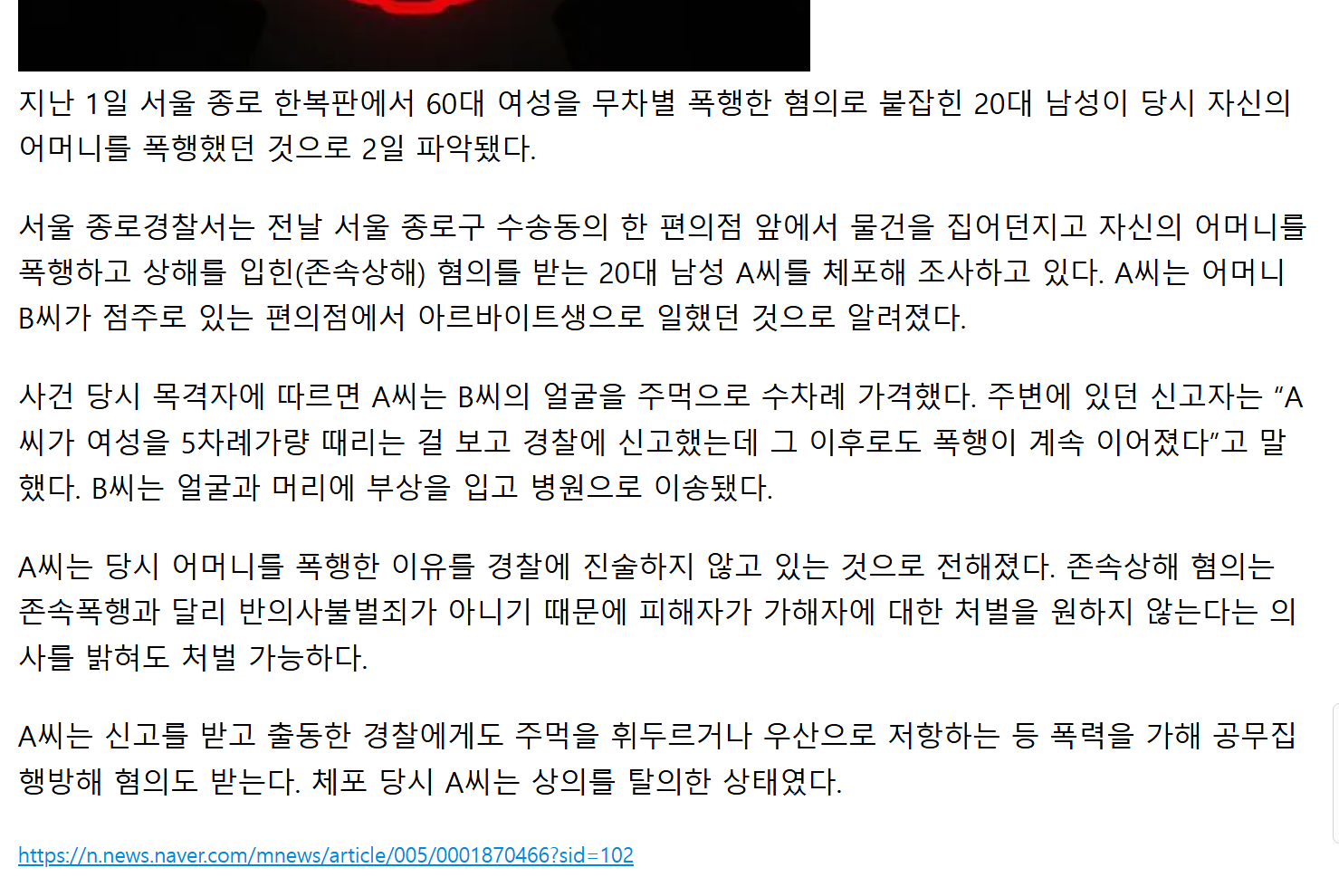 로우킥 날리는 현행범 체포하는 경찰 (4)