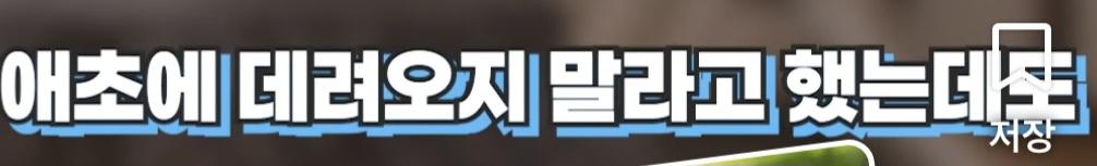 처제의 시바를 뒤지게 팼습니다 (28)