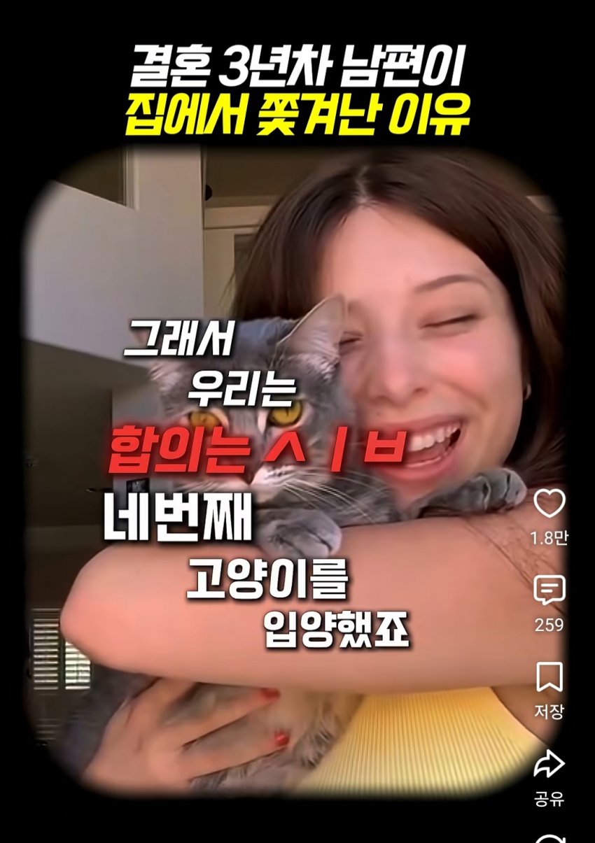 훌쩍훌쩍 부부의 반려동물 고르기촌 (11)