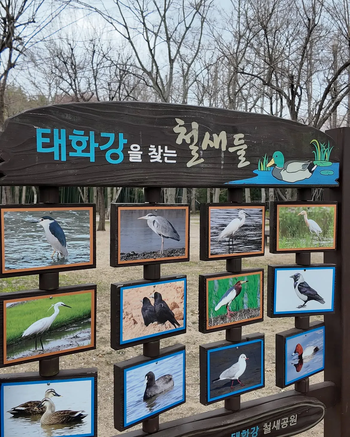 국립 철새공원에 길고양이 집을 지어달라는 캣맘들 수준 ㅡ (2)