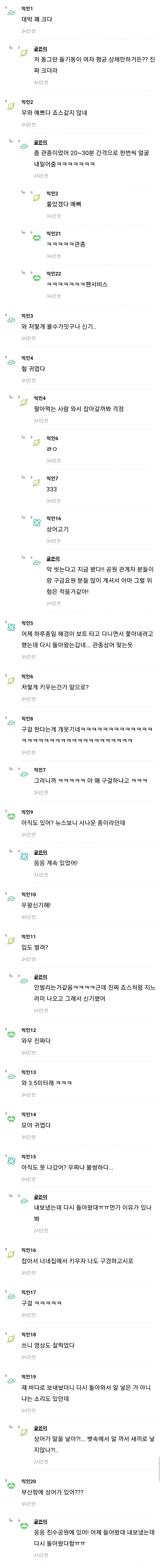 얘들아 나 부산항 상어 보고왔어 (4)