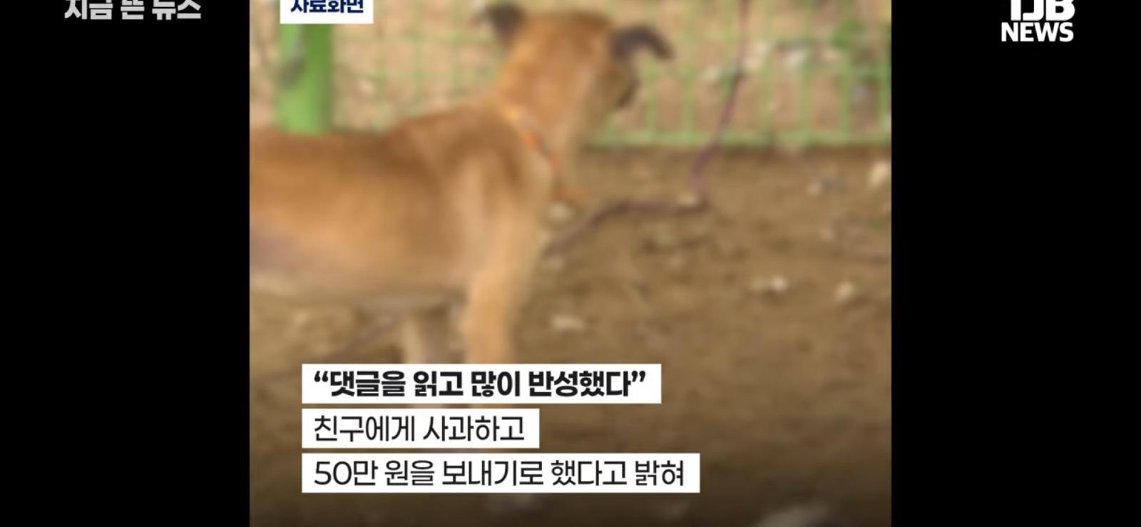 친구 집들이에 개를 데리고 갔더니 벌어진 일 (10)