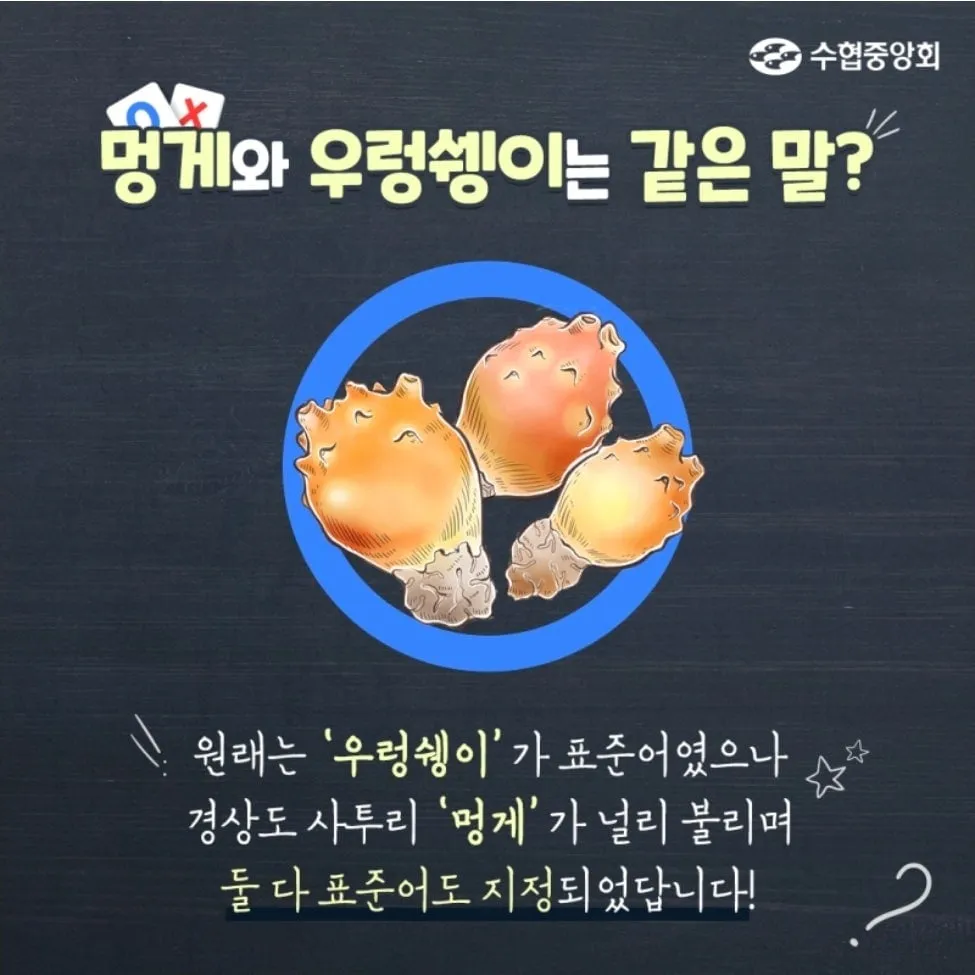 아무도 표준어로 안부르는 해산물