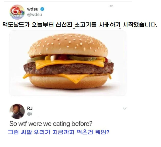 진심 치킨버거를 보여주겠다는 일본 맥도날드 (3)