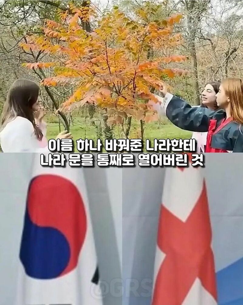 전 세계가 무시한 부탁을 한국만 들어준 결과 (11)