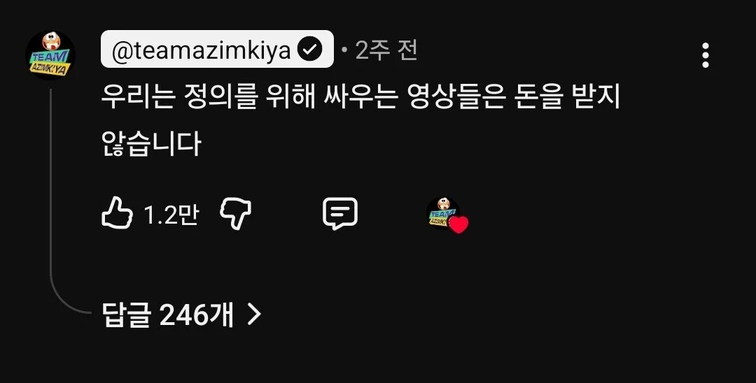 "중국인 무비자 멈춰주세요" (2)