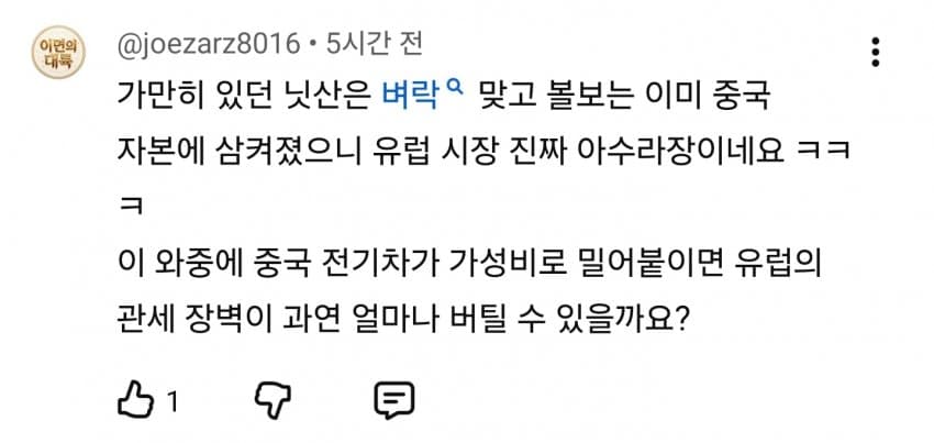 中 잡으려다 日 뺨 때린 유럽... 韓현기차는 웃는다 (21)