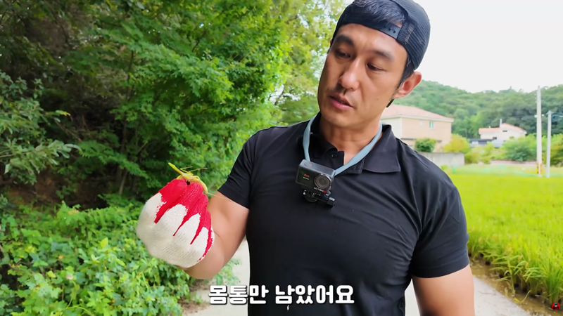 사마귀 먹는 방법 알려주는 유튜버 (9)