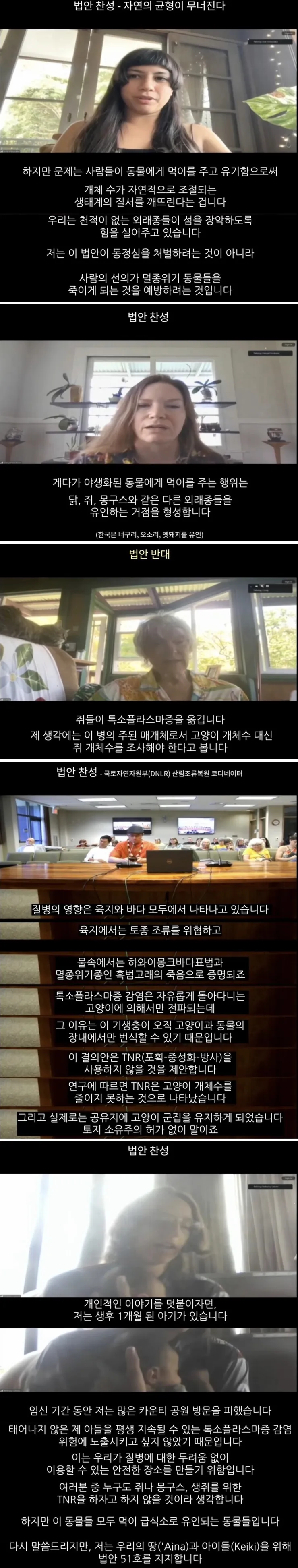 하와이 고양이 근황 feat. 의회 (2)