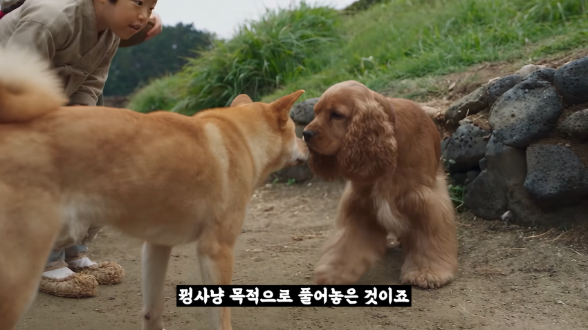왜 거문도에는 영어 사투리가 존재 하는 걸까? (36)