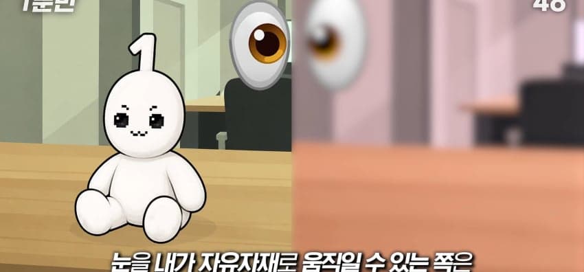사시는 과연 어떻게 보일까...? (9)