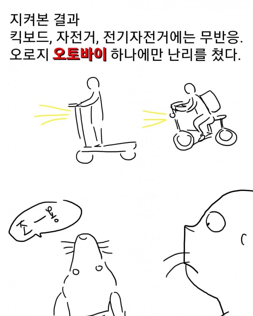 오토바이 무서워하는 강아지 교육하는 만화 (25)