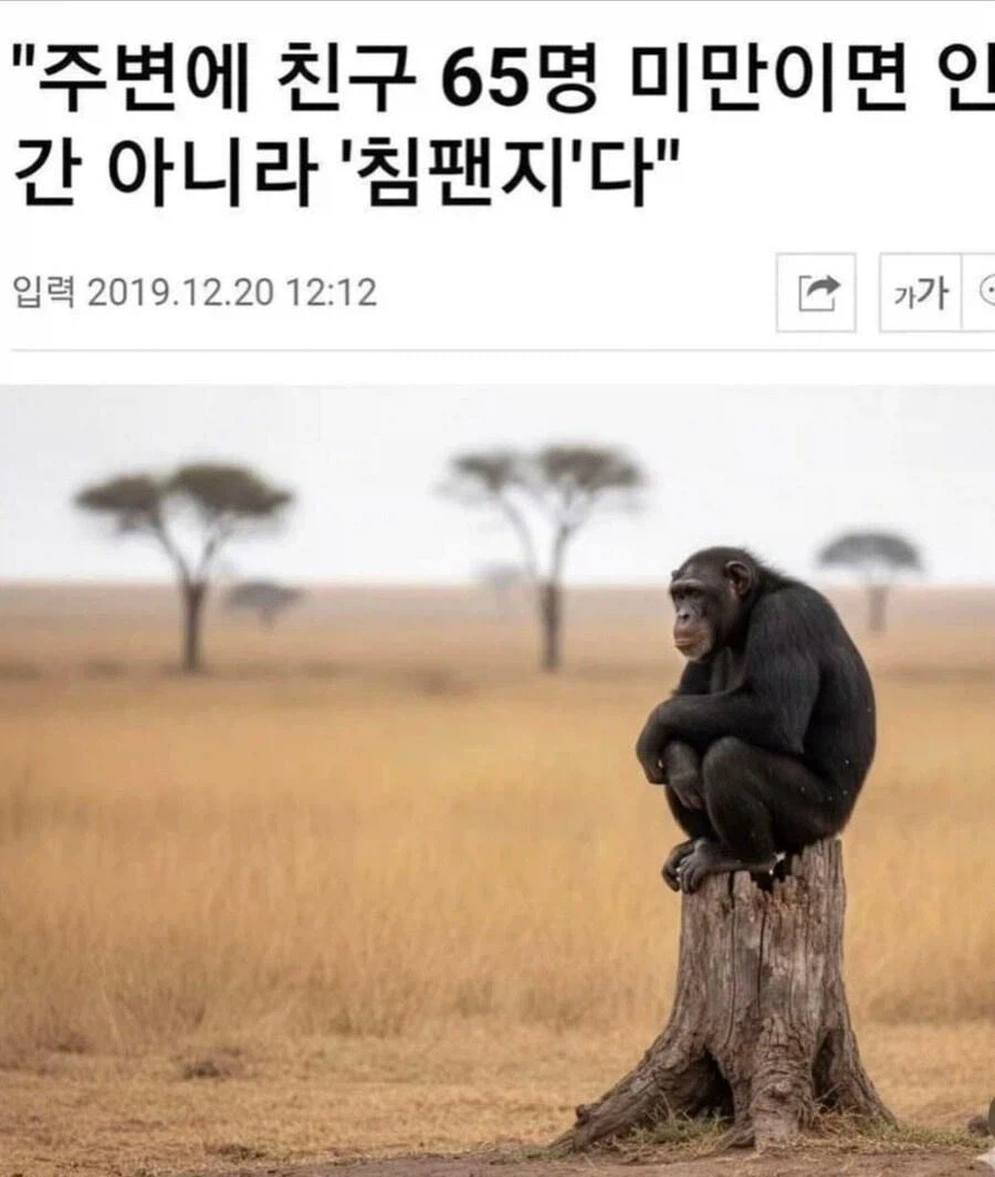 친구 65명 침팬지의 진실