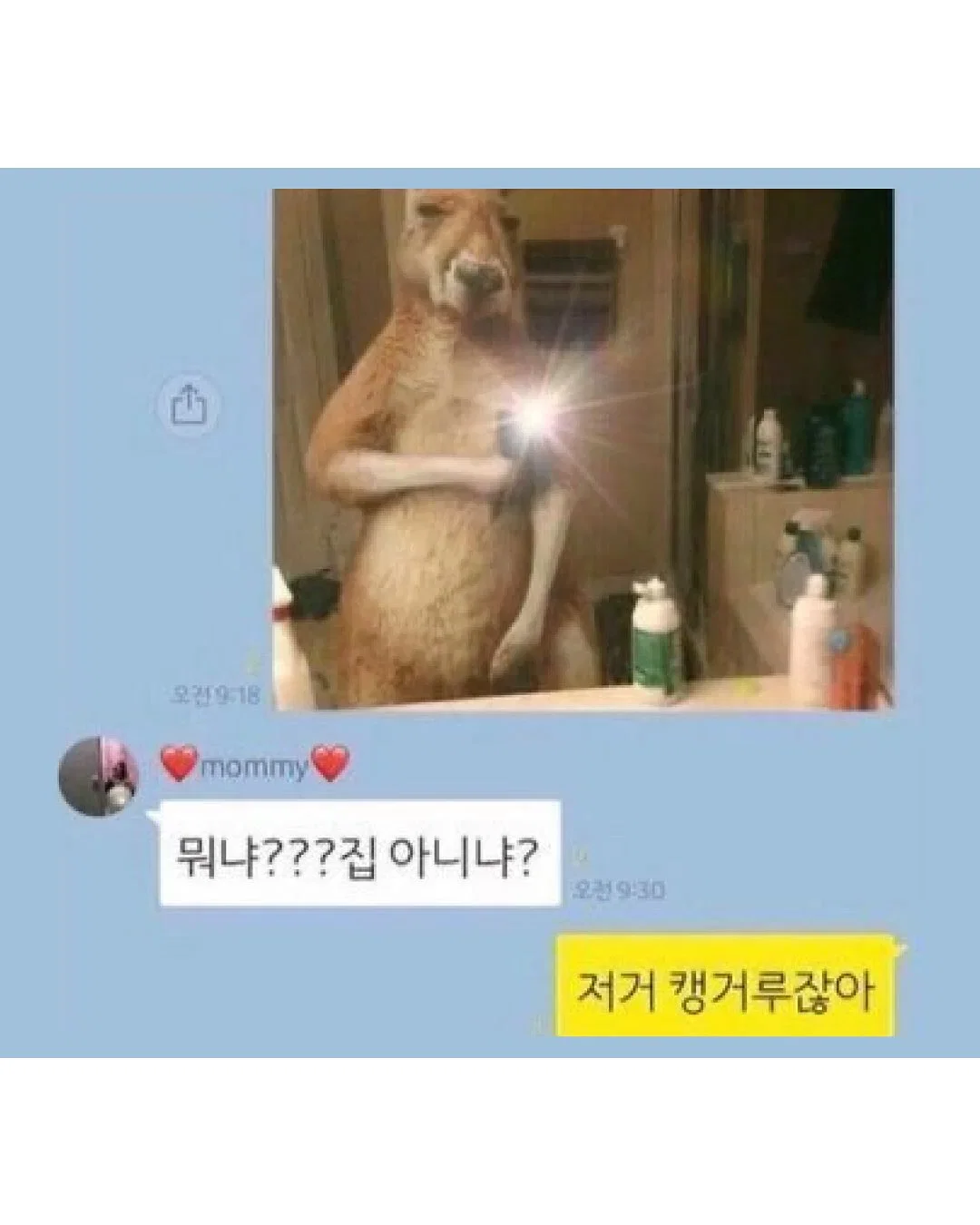 엄마가 문자 보낸거 개웃기지 ㅋㅋㅋㅋ (12)